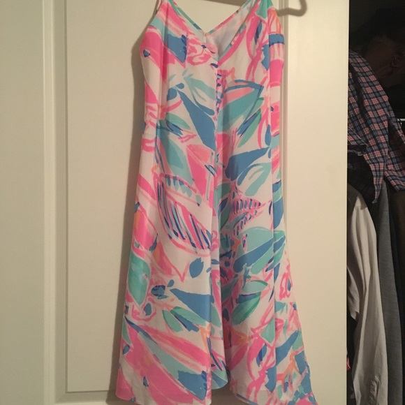 Lilly Pulitzer dress - Picture 3 of 5